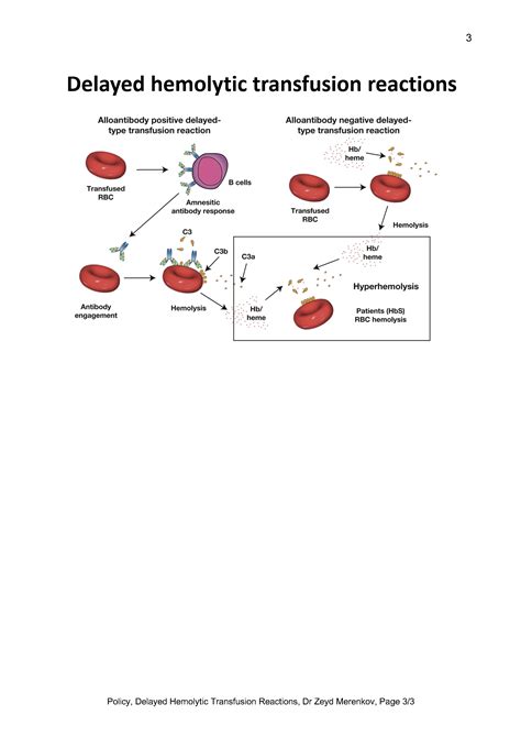 Delayed Hemolytic Transfusion Reaction – Dr. Zeyd Merenkov