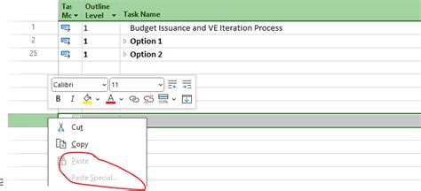 Image result for MS Project Copy and Paste Tasks