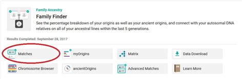 Image result for DNA Tutorial