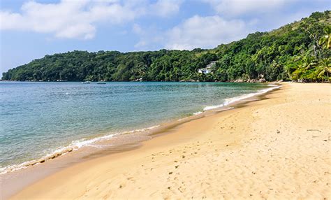 Make Your Trip to Brazil Unique - Experience See the Wonders of Rio ...