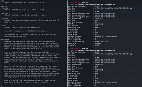 Image result for Get File Metadata