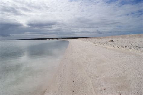 Image result for Shell Beach Wa