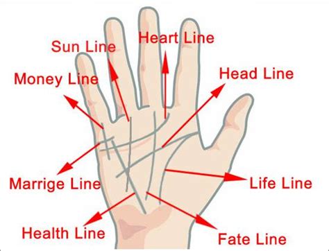 हाथ में ये एक रेखा हो तो आपको अमीर बनने से कोई नहीं रोक सकता ...