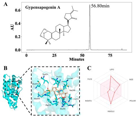 Gypensapogenin A-Liposomes Efficiently Ameliorates Hepatocellular Lipid ...