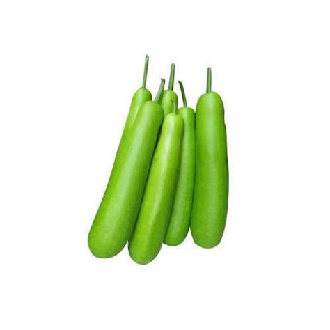 Organic Bottle Gourd Manufacturer Exporter Supplier from Bareilly India