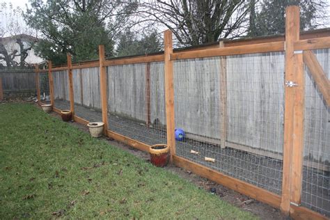 Gravel Dog Run Ideas