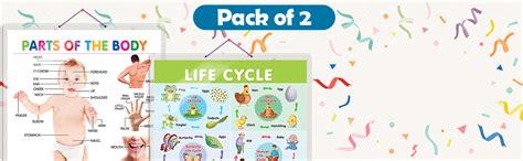 Buy Pack of 2 Parts of the Body and Life Cycle Educational charts with ...