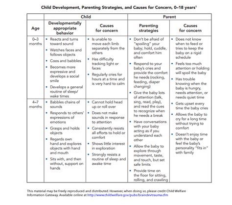 Image result for Human Development Stages Chart