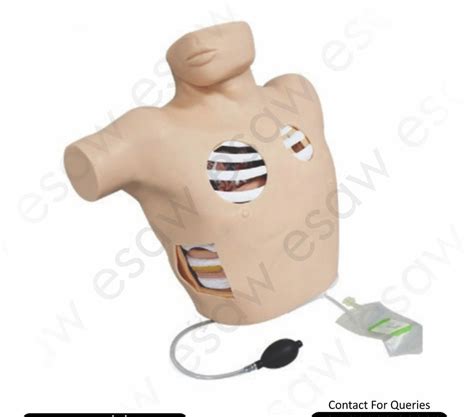 Thoracentesis Drainage Simulator – Advanced Pleural Drainage & Pne