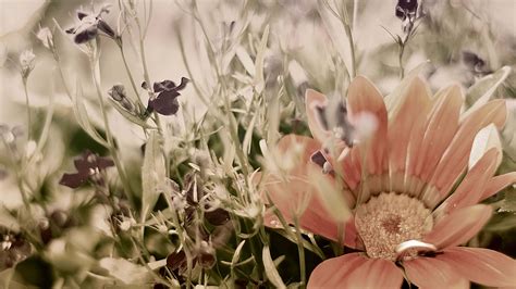 Download 4096x2304 Wallpaper | Wallpapers.com