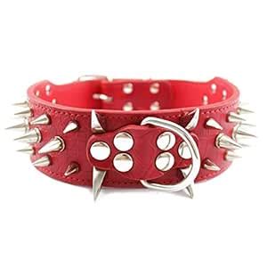 Buy TOOGOO Leather Spiked Studded 2" Wide, 25 Spikes 44 Studs, Pit Bull ...