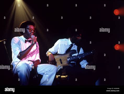 Image result for Linx Again