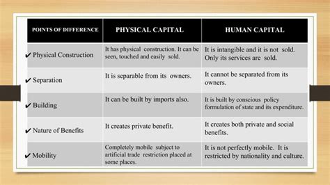 Image result for Human Capital Formation Class 12th