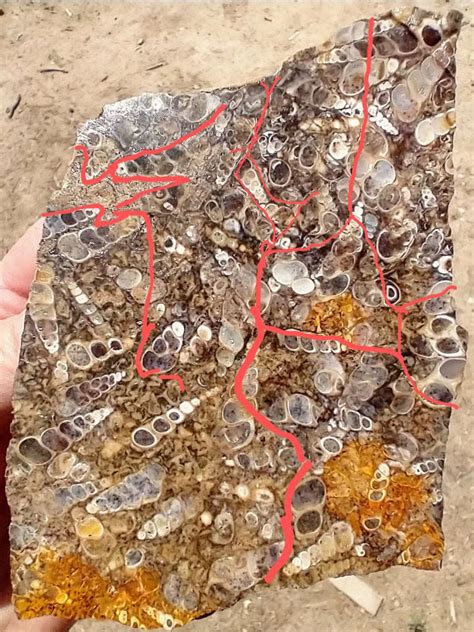 Lapidary Slabs 的图像结果