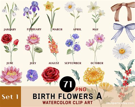 Birth Month Flowers Clipart Watercolor Floral PNG Bundle - Etsy Canada