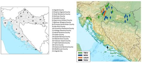 Re-Emergence of Usutu Virus and Spreading of West Nile Virus ...