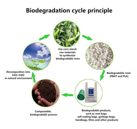 Biodegradable 的图像结果