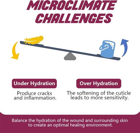 Buy Silicone Foam Dressing with Gentle Adhesive Border 4'' x 4'' 10 ...