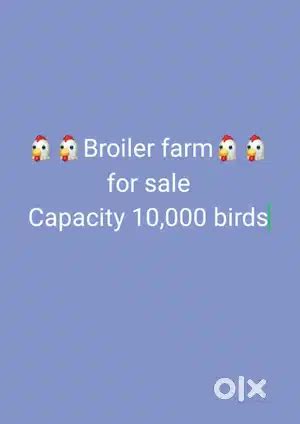 Poultry farm for sale - Lands & Plots in Nileswaram, Perole - 1828809397