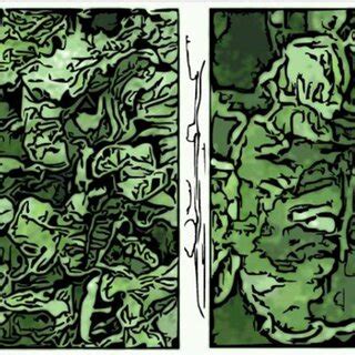 Image result for Vegetative Proportion Background