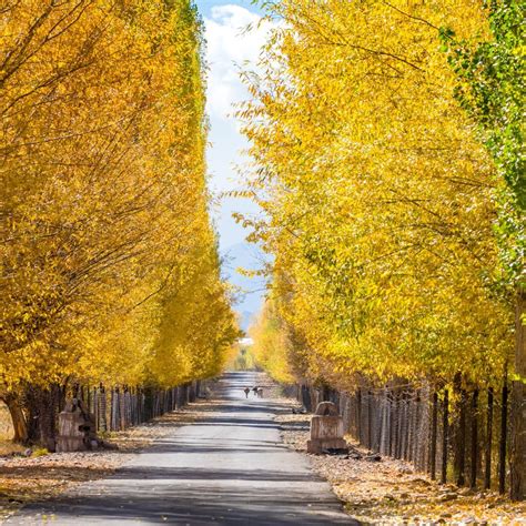 10 Destinations In India Perfect For A Fun Family Vacation