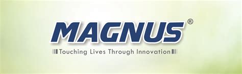 Magnus Olive 3 Lunch Box Set: Leak-Proof Stainless Steel Containers ...