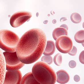 Know Hemophilia – Causes, Risks & Care