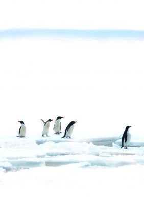 Image result for Introduction to Pingouin Python Tutorial