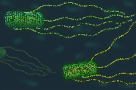 Image result for Matrix Programming Language