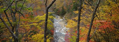 HOTEL TAKIMOTO SHIGAKOGEN