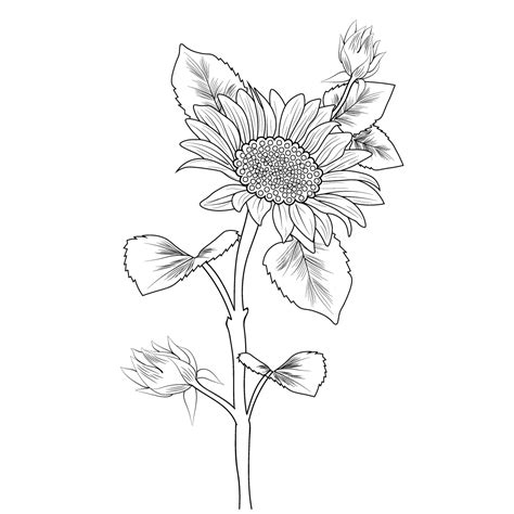 sunflower, sunflower drawing, sunflower drawing for kids, small ...
