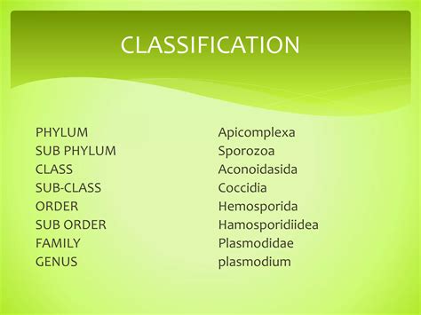 Plasmodium | PPTX