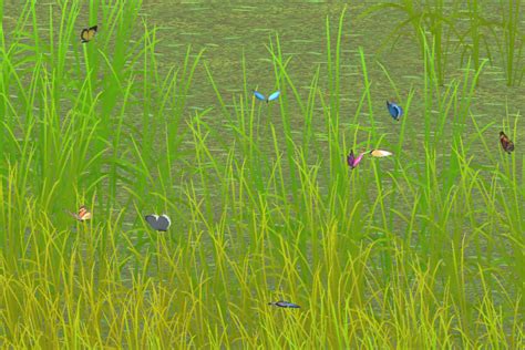 Butterfly Polygon Unity in Unity 的图像结果