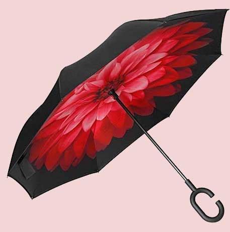 Chic Umbrella Styles