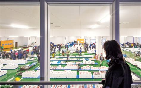 Wholesale Fish Market Walking Tour in Kyoto - Klook India