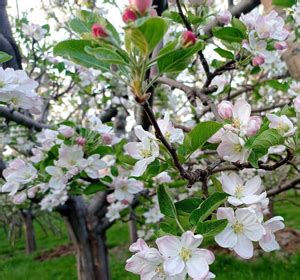 Altret Bio Tech Limited, Surat India.