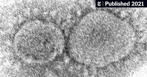 Image result for Omicron Tutorial