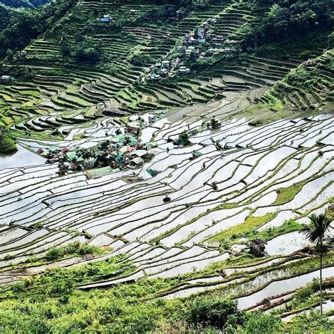 Ultimate Guide To Banaue Rice Terraces In Ifugao Philippines 2025