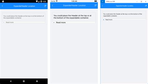 Image result for FAQ Expander UI