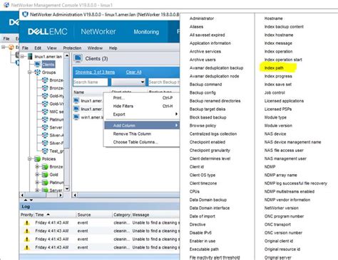 NetWorker: How to Update the Index Path for Multiple Clients | Dell India