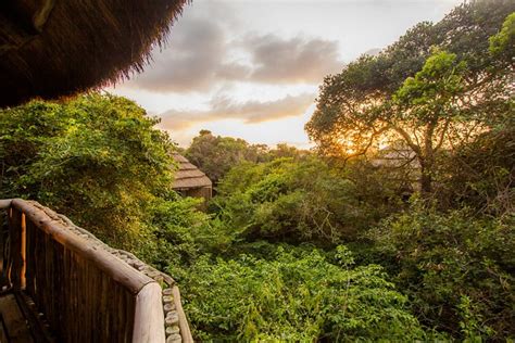 THONGA BEACH LODGE (iSimangaliso Wetland Park) - Lodge Reviews, Photos ...
