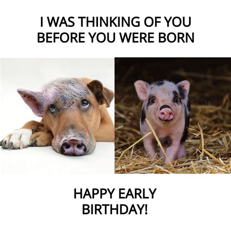 Free Happy Early Birthday Meme Template to Edit Online