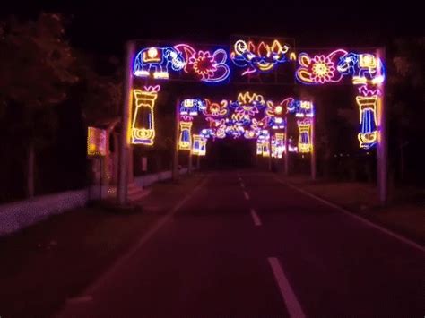 Ektanagar Illuminated Colorful Lights; ₹40 Crore, 3 Crore LED ...