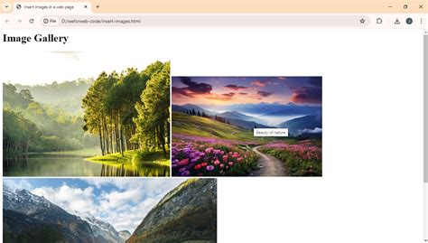 Insert Images in HTML