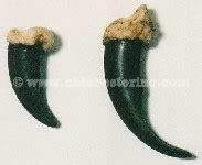 Wolf Claws 的图像结果