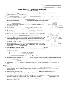 Crash Course Endocrine System 的图像结果