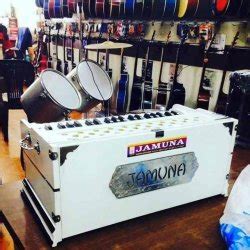 Indo Musica Store in Chandigarh Sector 42b,Chandigarh - Best Indian ...
