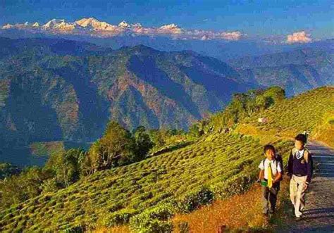 Tour Packages | Tour Packages India | Holiday Trip - 2025