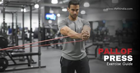 Image result for Pallof Press Anti-Rotation