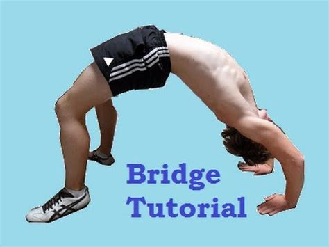 Image result for Gymnastics Bridge Variations